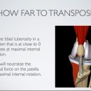 파리스동물병원 이미지