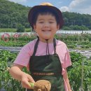 칠곡한솔유치원 이미지