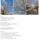 보람연합