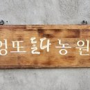 엉또돌다카페농원