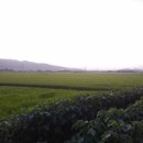 호박고을 이미지