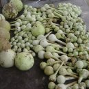 샘밭 농장 이미지