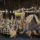 과천시 중앙공원 이미지