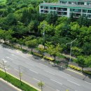 첨단임방울대로 이미지