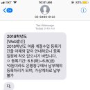 팀프로