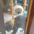 와이즈 동물병원 이미지