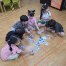 8월 - K-IB프로젝트[빙하가 사라지면] : 남극과 북극 동물을 분류해요 이미지