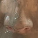 올리브영보령