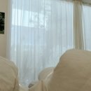 PLAGE(플라쥬) 이미지