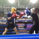 성호복싱클럽 이미지