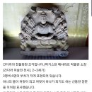 지장경 길라잡이 - 17 분신집회품(분신들이 모이다) 줄거리 이미지