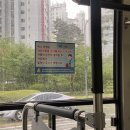 청년피자운정점 | 240805- 240831: 더위에 죽다가 살아난