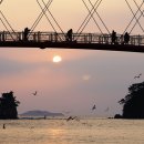 드르니항 이미지