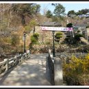 대덕산3길 Daum카페