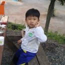 솔밭체육공원 오토캠핑장 이미지