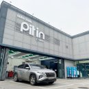 오토오아시스피트인