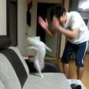 성북2리 | 당진 아미산 등산 다녀왔어요 (ft. 엄마표 해신탕)