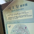 강남꼬꼬마김밥