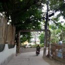 뽑고가리 이미지