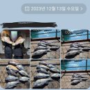 경남 거제,통영시 해상펜션, 좌대낚시 소개