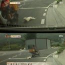 백구오토바이