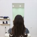 지 앤 헤어샵