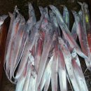 은빛상회 이미지