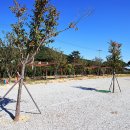 보경사힐링캠핑장 이미지