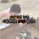 엄마와 그림책 놀이(2기) | 대구 아기랑 실내 갈만한 곳 TOP 3 (3) / 평범한 곳도 2시간 놀아요 (12~36개월)