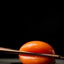 정란농장 이미지