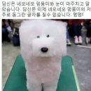 네모 이미지
