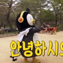 맥심쇼핑
