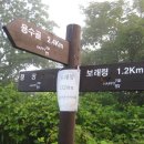 (유)광영