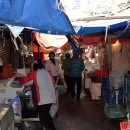 성호개발 이미지