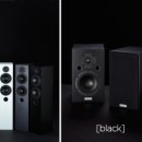 뉴리치모델 이미지