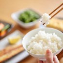 도봉로1L-2 | 도봉구 푸드 리퍼브 마켓 찾는 법과 운영정보