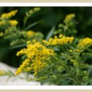 밸리펜션 이미지