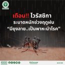 [태국 뉴스] 7월 21일 정치, 경제, 사회, 문화 이미지