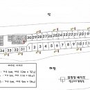 바보오토