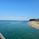 죽변면도서관 | 울진 스쿠버다이빙 2일차