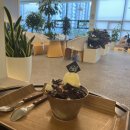 오월당 | 김포 카페추천 강아지랑 가기 좋은 애견동반 김포 오월당 솔직후기
