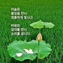 행복의료기 이미지