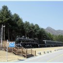 현충원 산책길 이미지