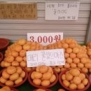 로제펫샵 | [일상] 12월 #2 연말 지나가요 지나가