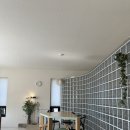 성산 애견농장 이미지