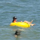 합기도 대구관 이미지