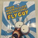 영어를삼키다 | Fly Guy 원서 추천｜6세 아이가 깔깔 웃은 영어책 There Was an Old Lady Who Swallowed Fly Guy 후기