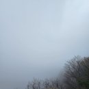 모락산 둘레길 | 평촌 근처 등산 모락산 3코스 우중 후기
