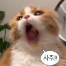 밀밀 | [내돈내산]강동구 성내동 밀밀 후기