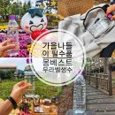 이마트24 화곡베스트 | 가을 나들이 필수품 몽베스트 무라벨생수와 함께한 가을 페스티벌 피크닉·등산 후기